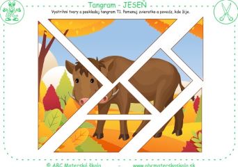 Poskladaj tangram