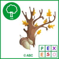 pexeso jeseň - symboly jesene