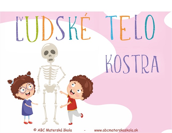 Ľudské telo - Kostra 