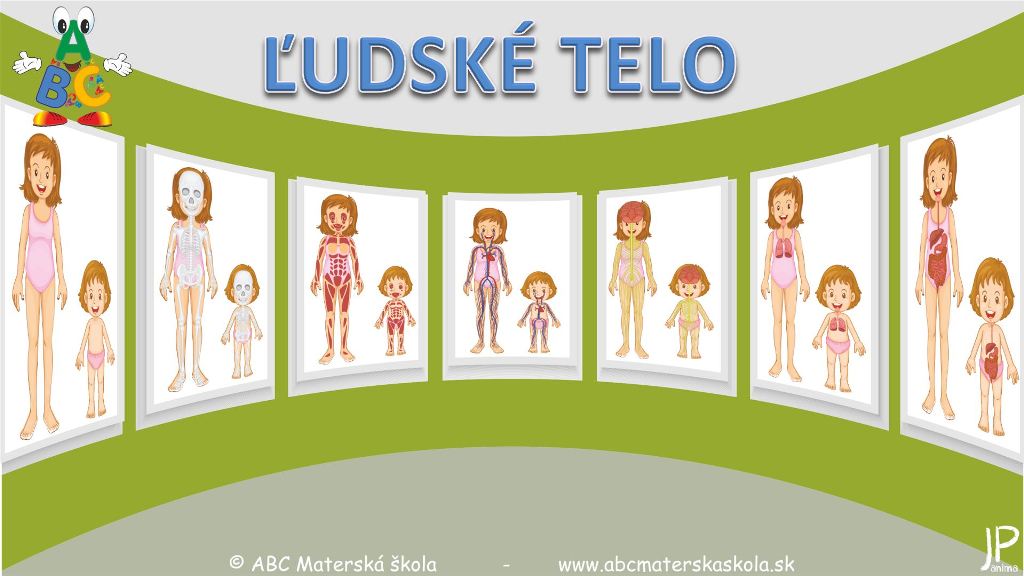 Ľudské telo