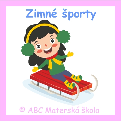 Zimné športy